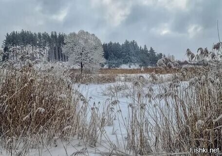 С добрым утром