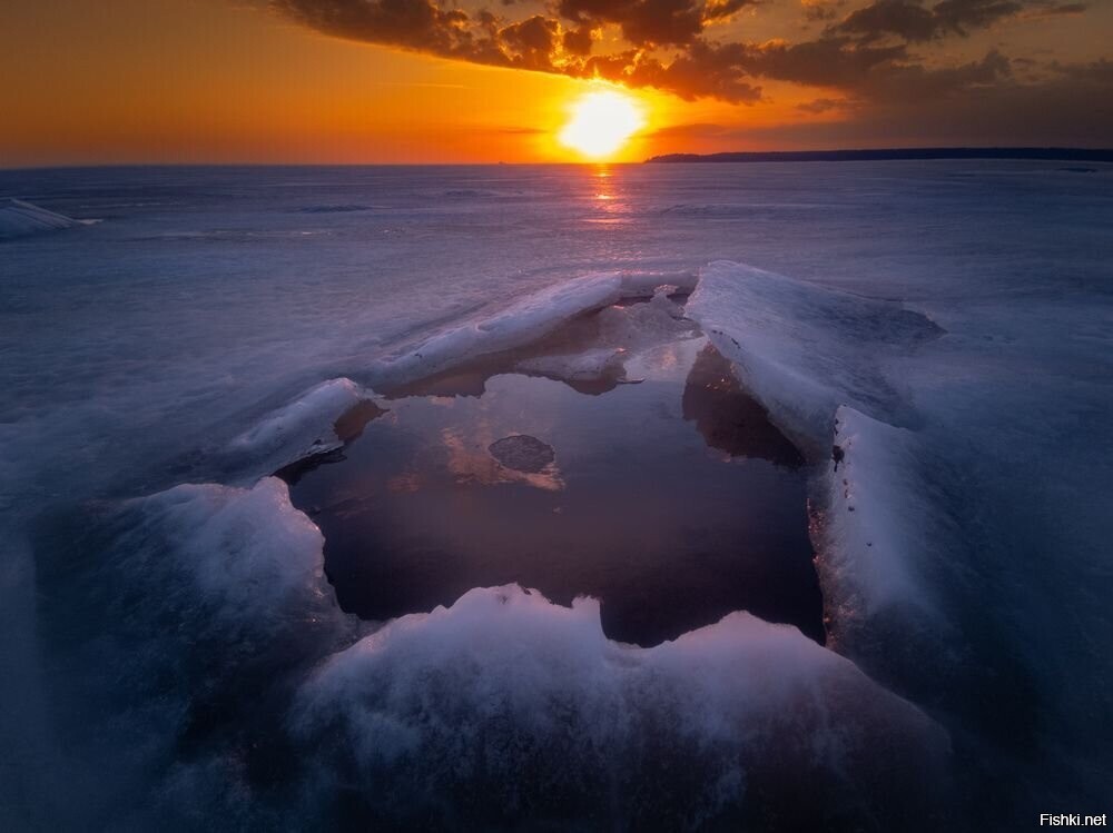 Солянка
