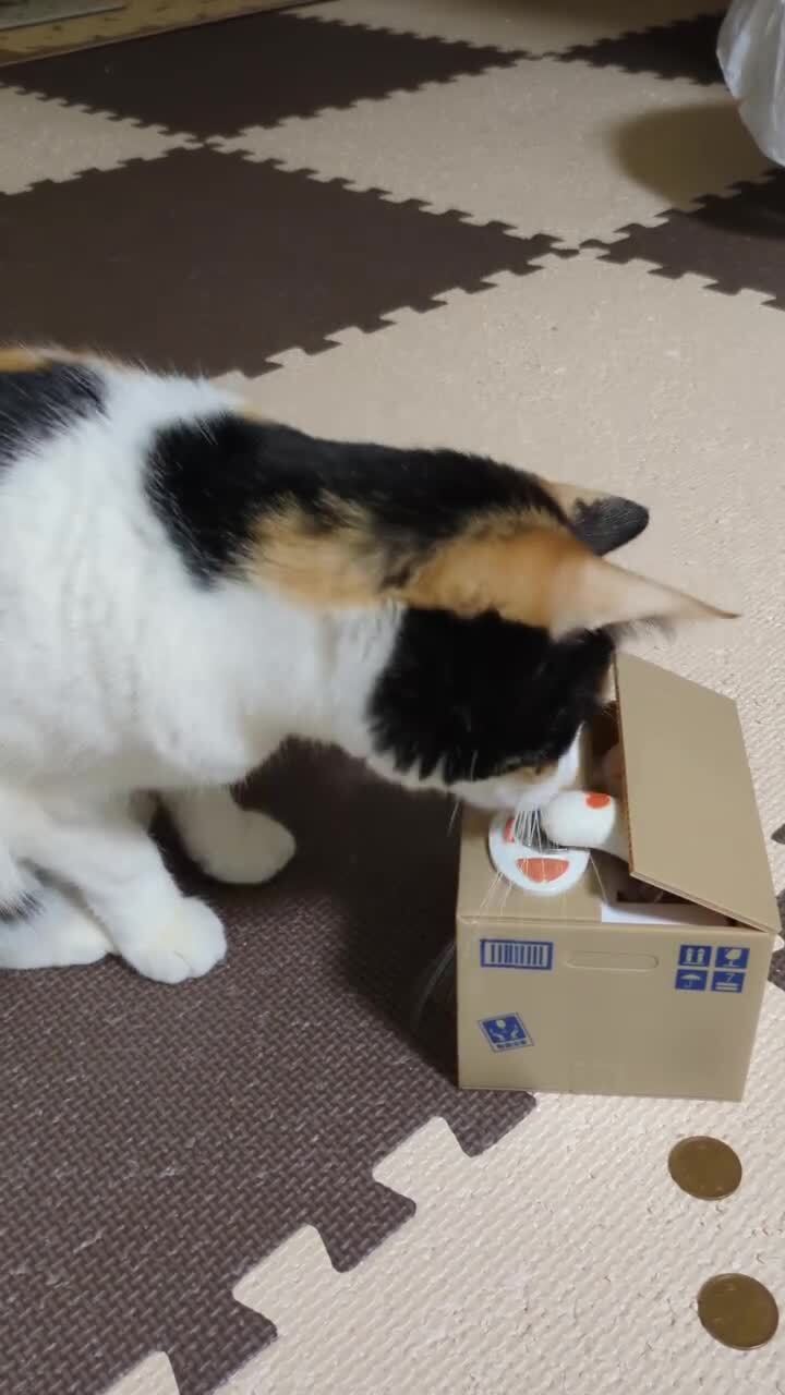 Кто тут