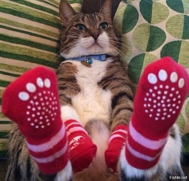 Доброго утра