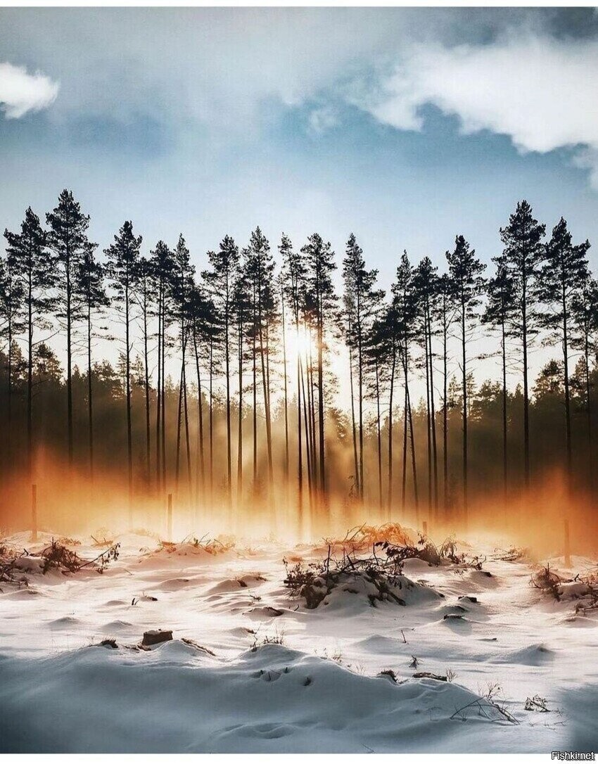 Солянка