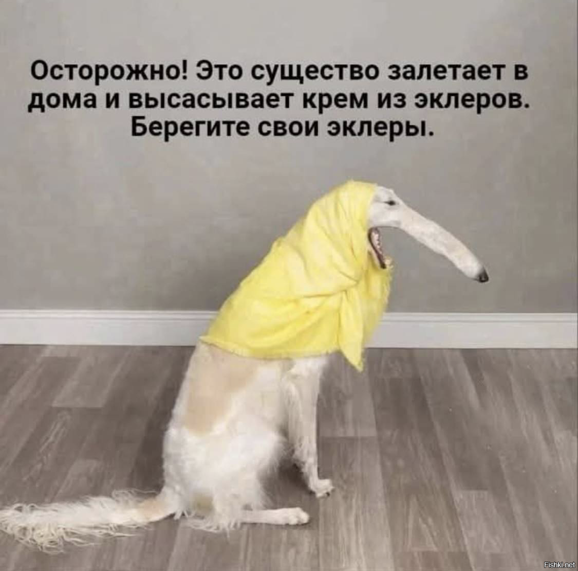 Все совпадения случайны 