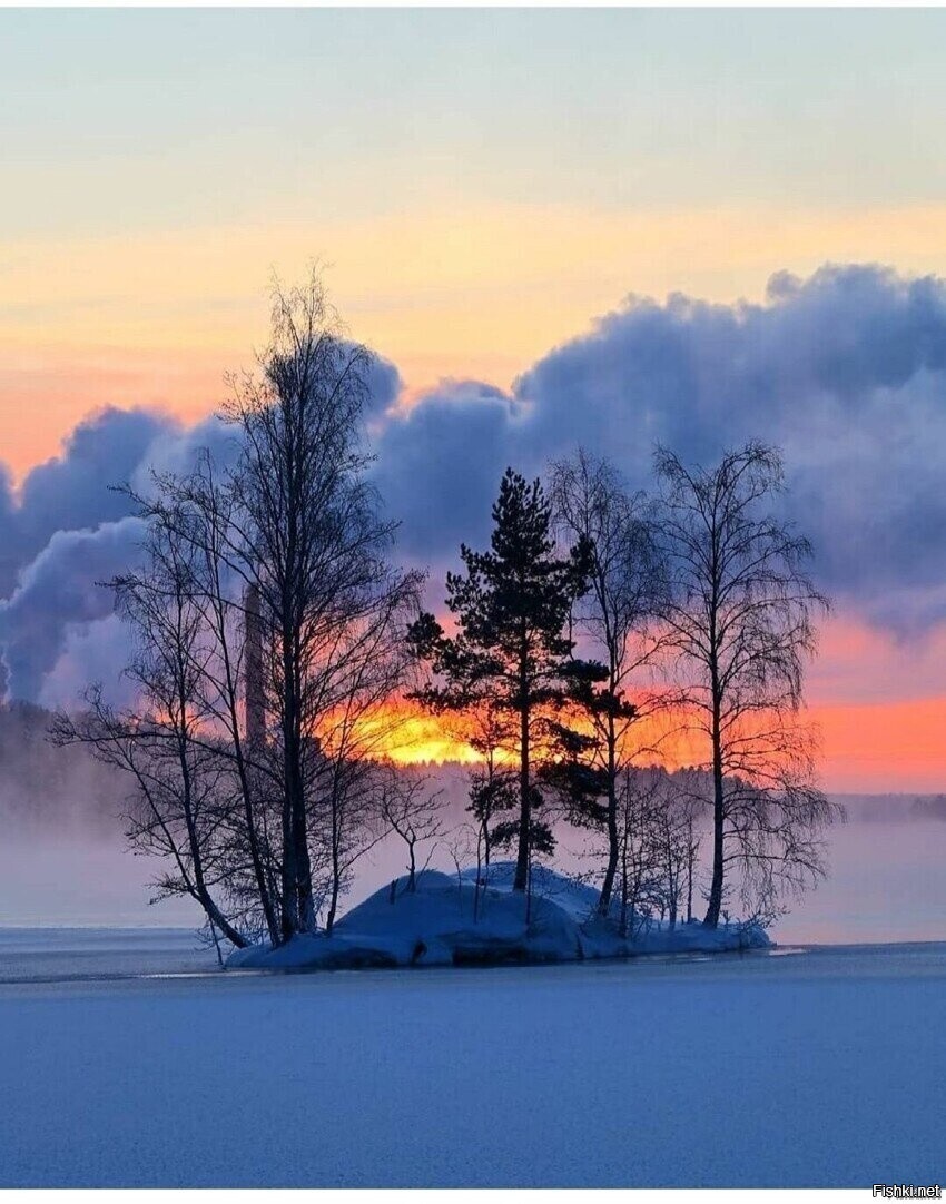 Солянка