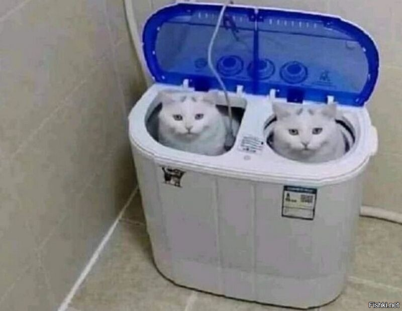 Клон машина