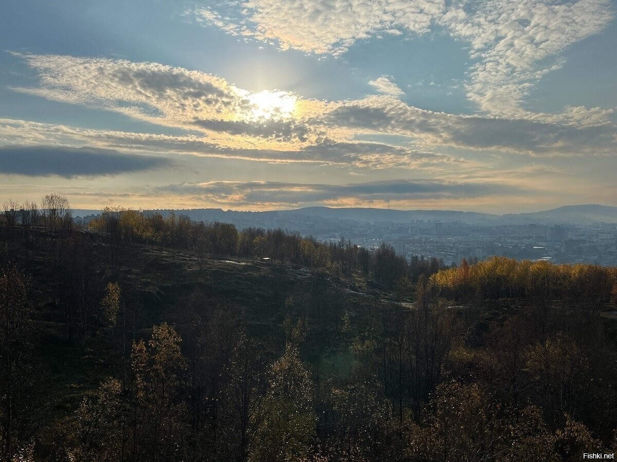 Солянка