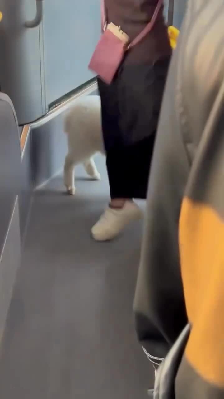 Сегодня в Алматинском автобусе)