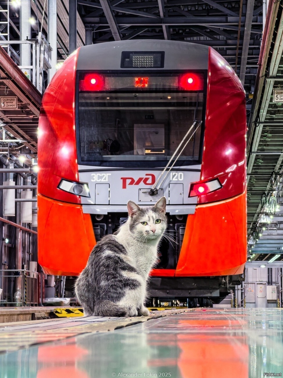 ЭС2Г-120
