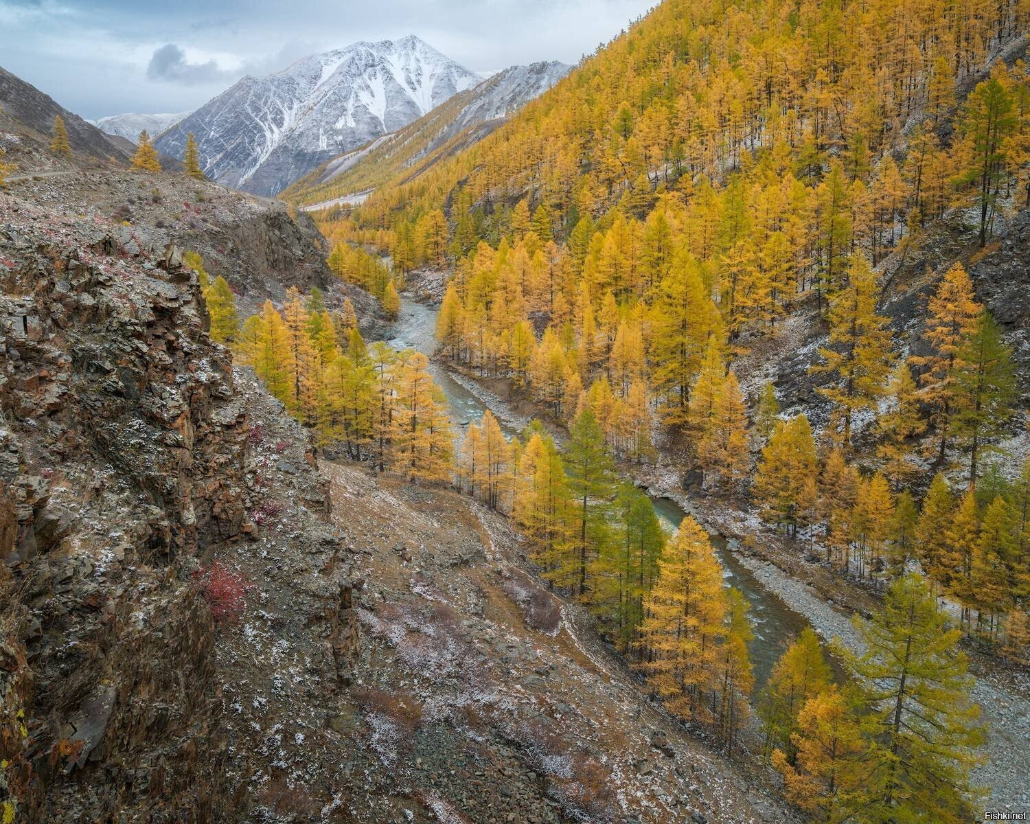 Солянка