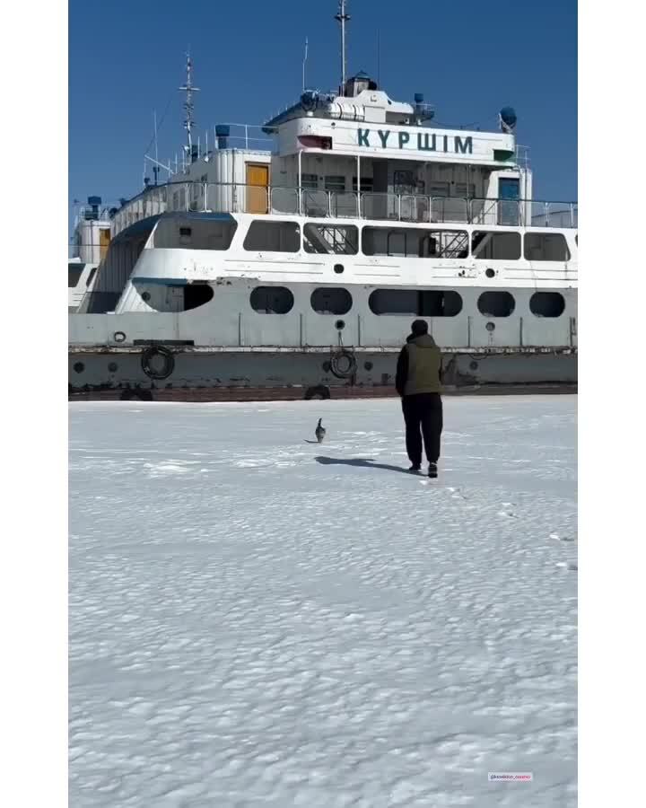 Солянка