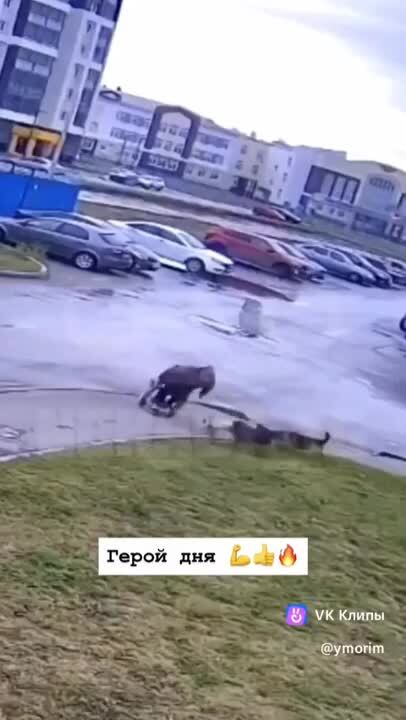 Солянка