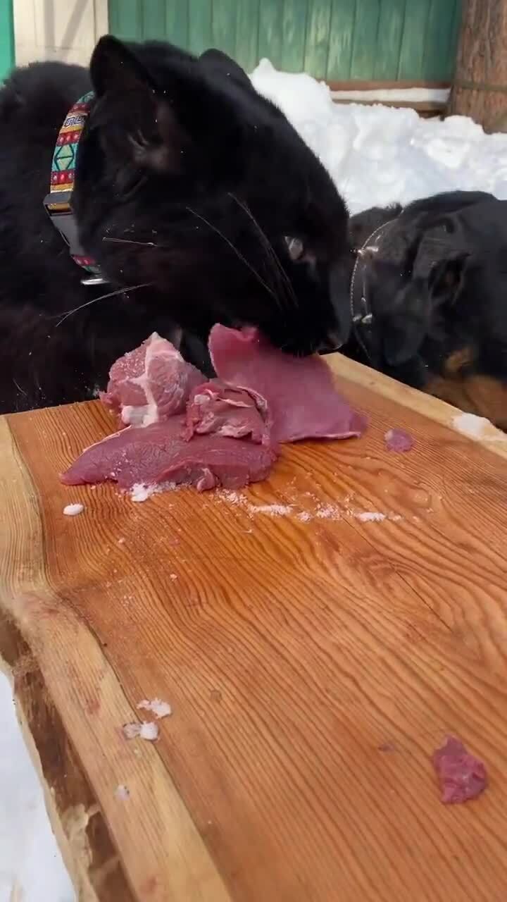 Дружба дружбой