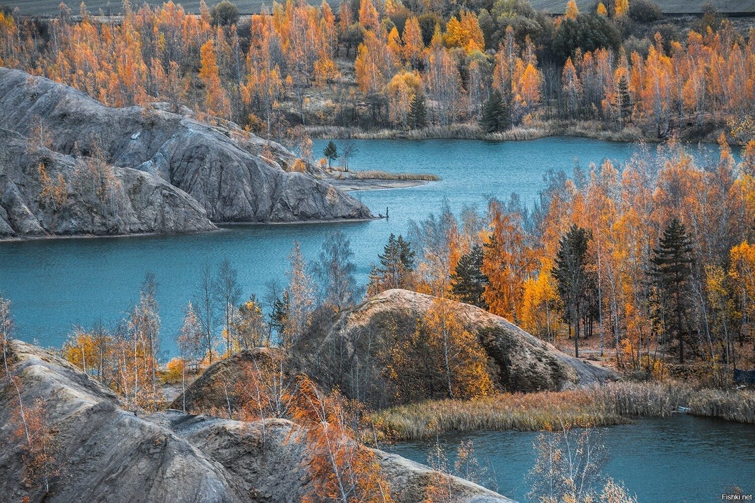 Солянка