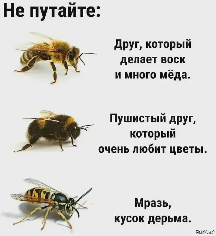 Памятка на лето