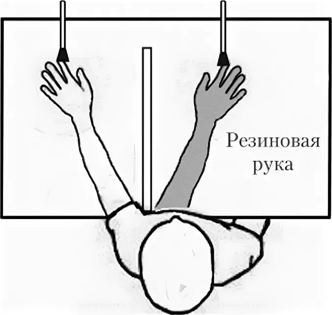 Эксперимент «Резиновая рука»⁠