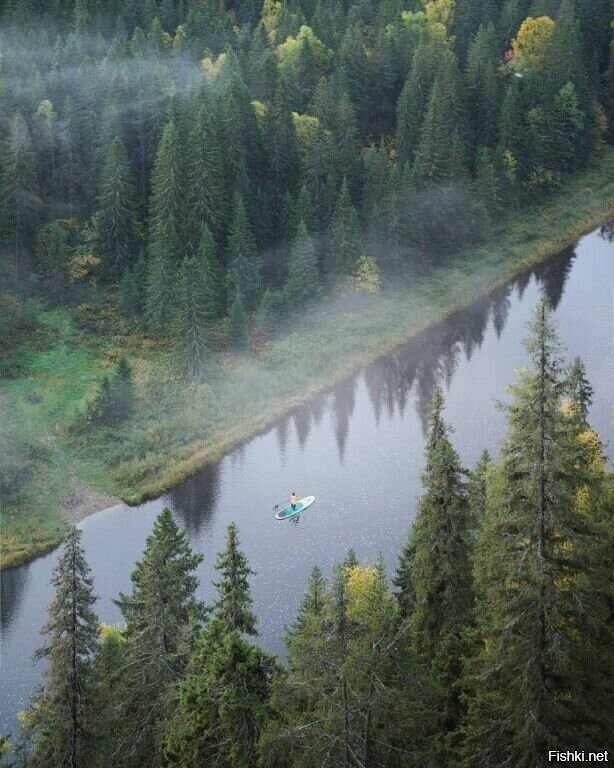 Солянка