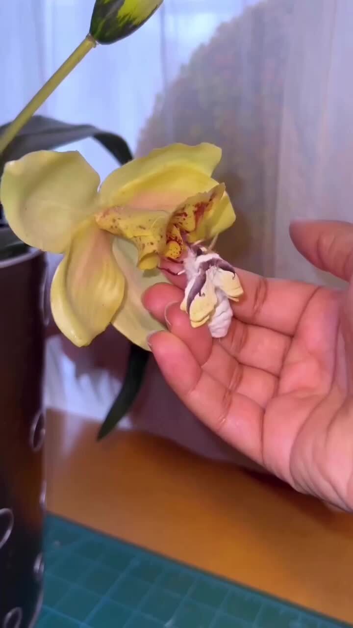 Лунный мотыль 