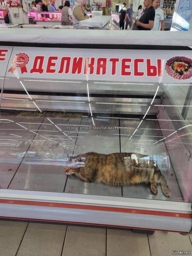 Солянка