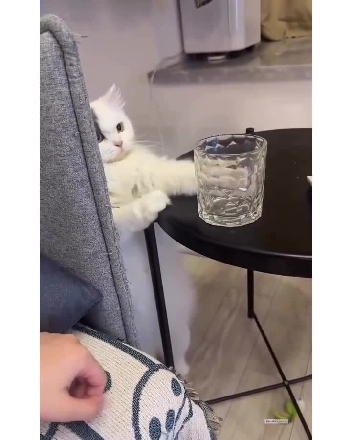 Привычка ронять)