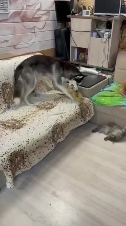 Солянка
