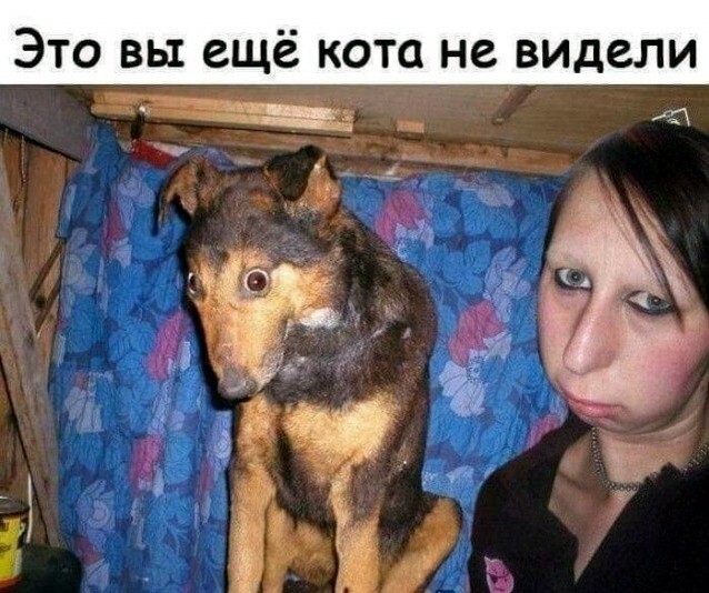 33 прикола