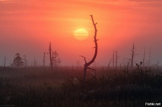 Солянка