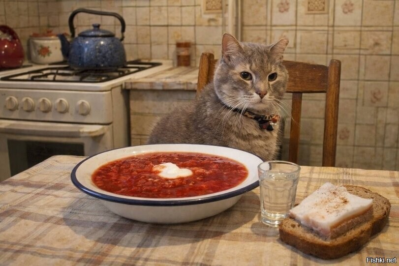 Солянка