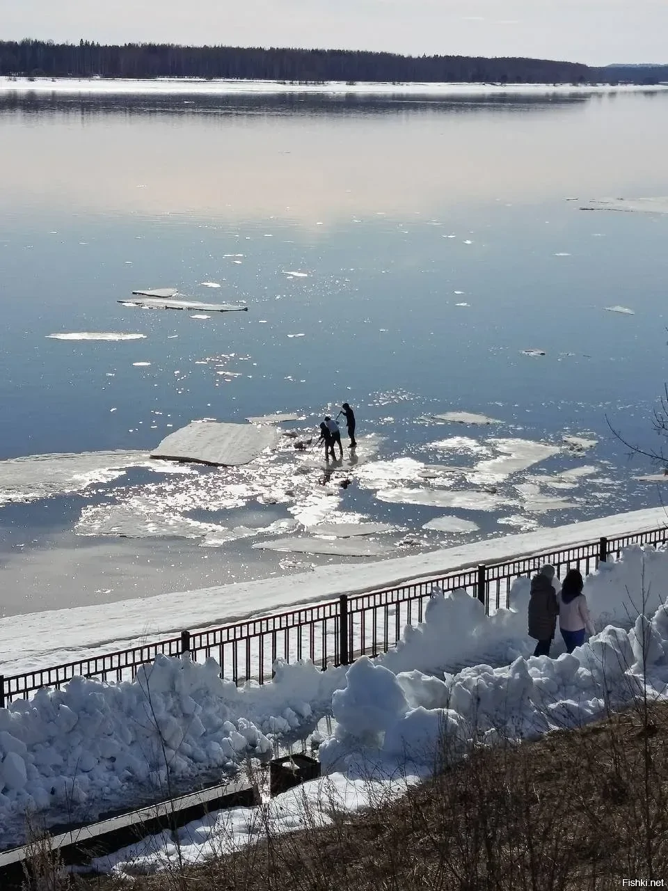 Наконец-то весна наступила