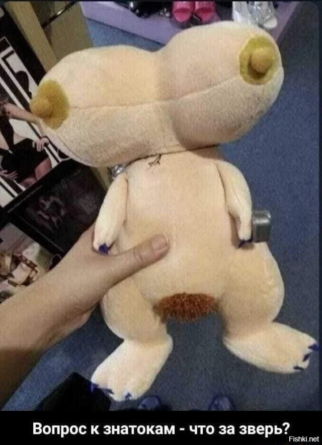 Солянка