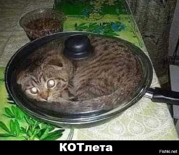 Солянка