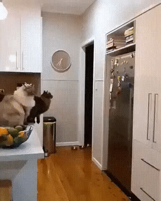 Мастер