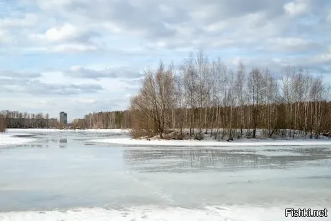 30 марта, Алексей Тёплый