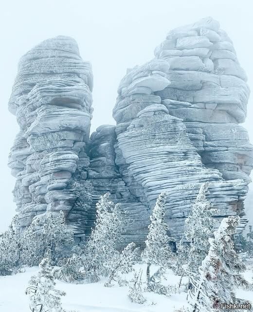 Солянка