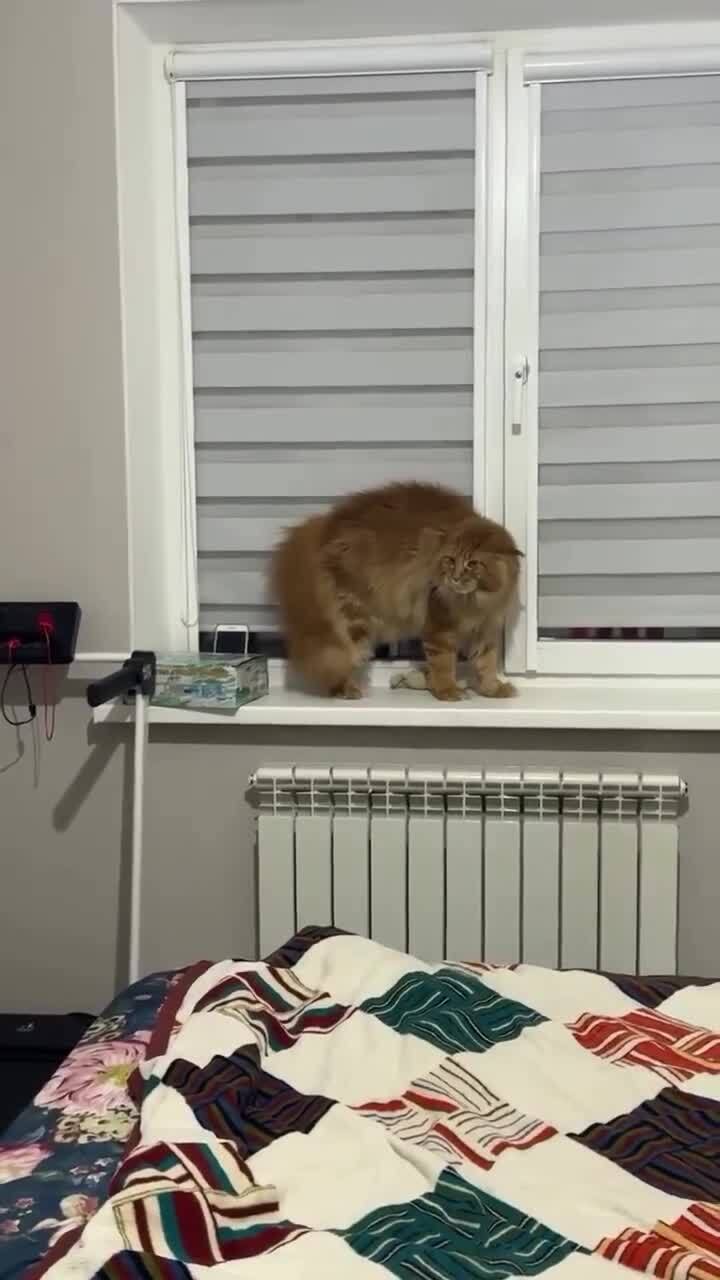 "Ууууйдииииии