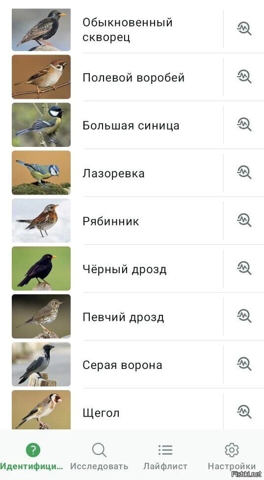 "Тихое" весеннее утро в московском дворе
