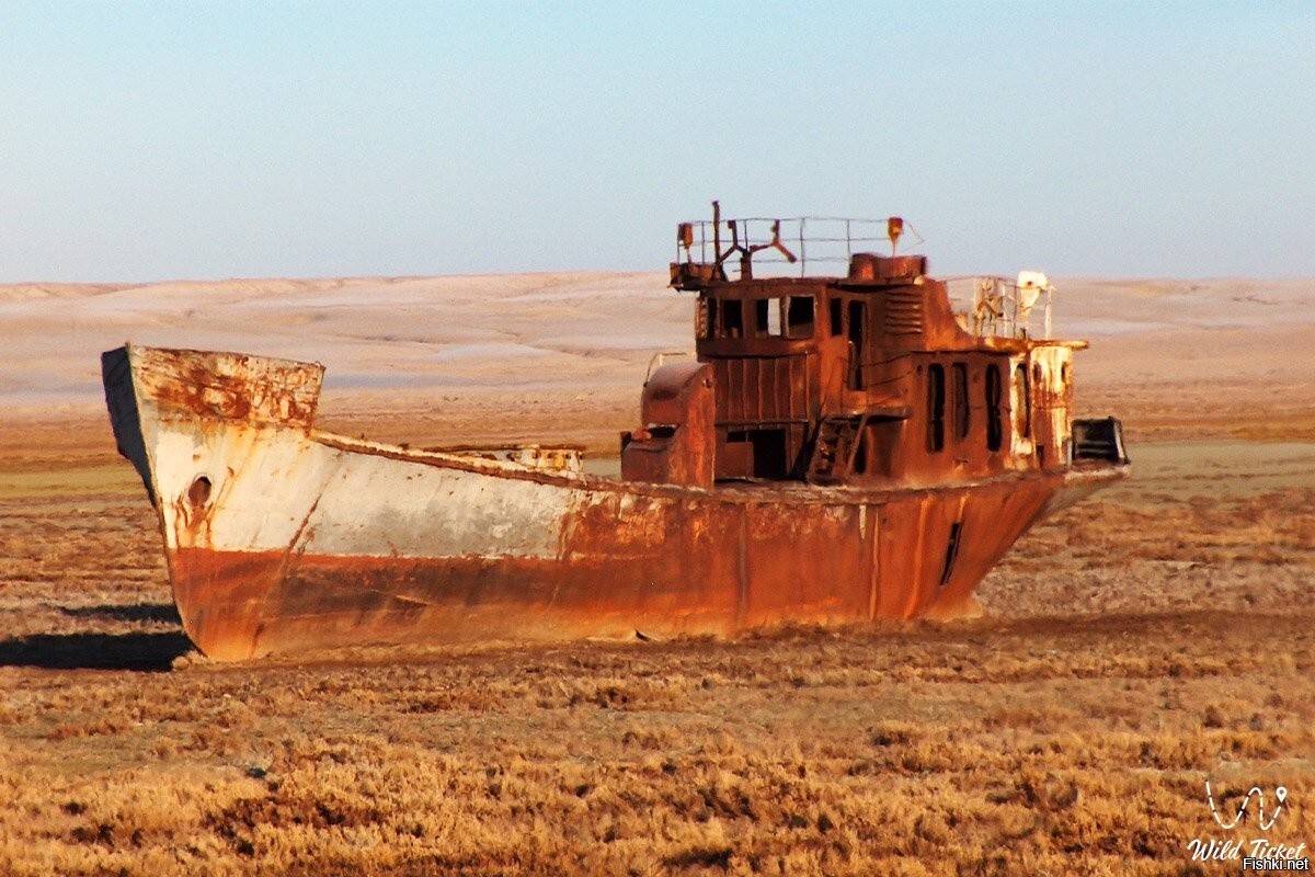 Аральское море 