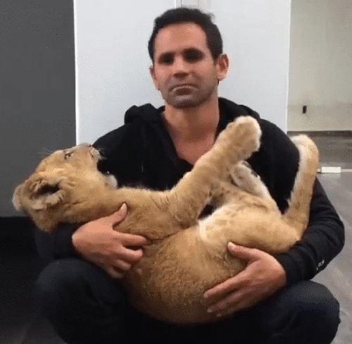 Просто гифки, всякие и&nbsp;разные