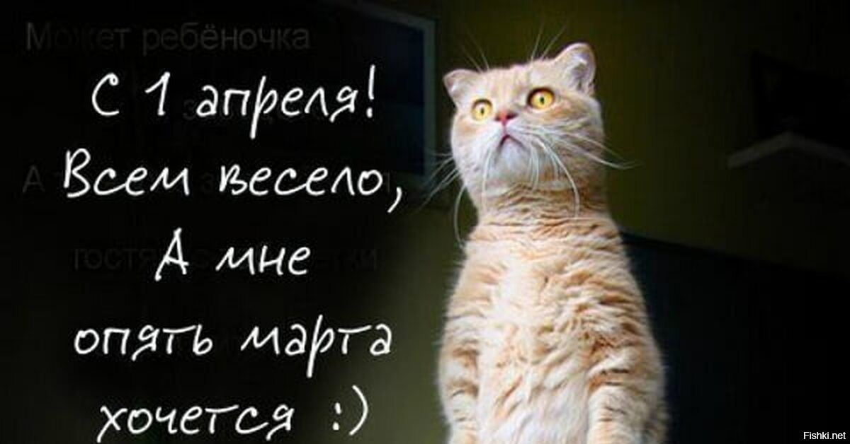 Доброго утра
