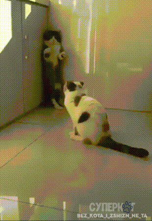 - Стоять