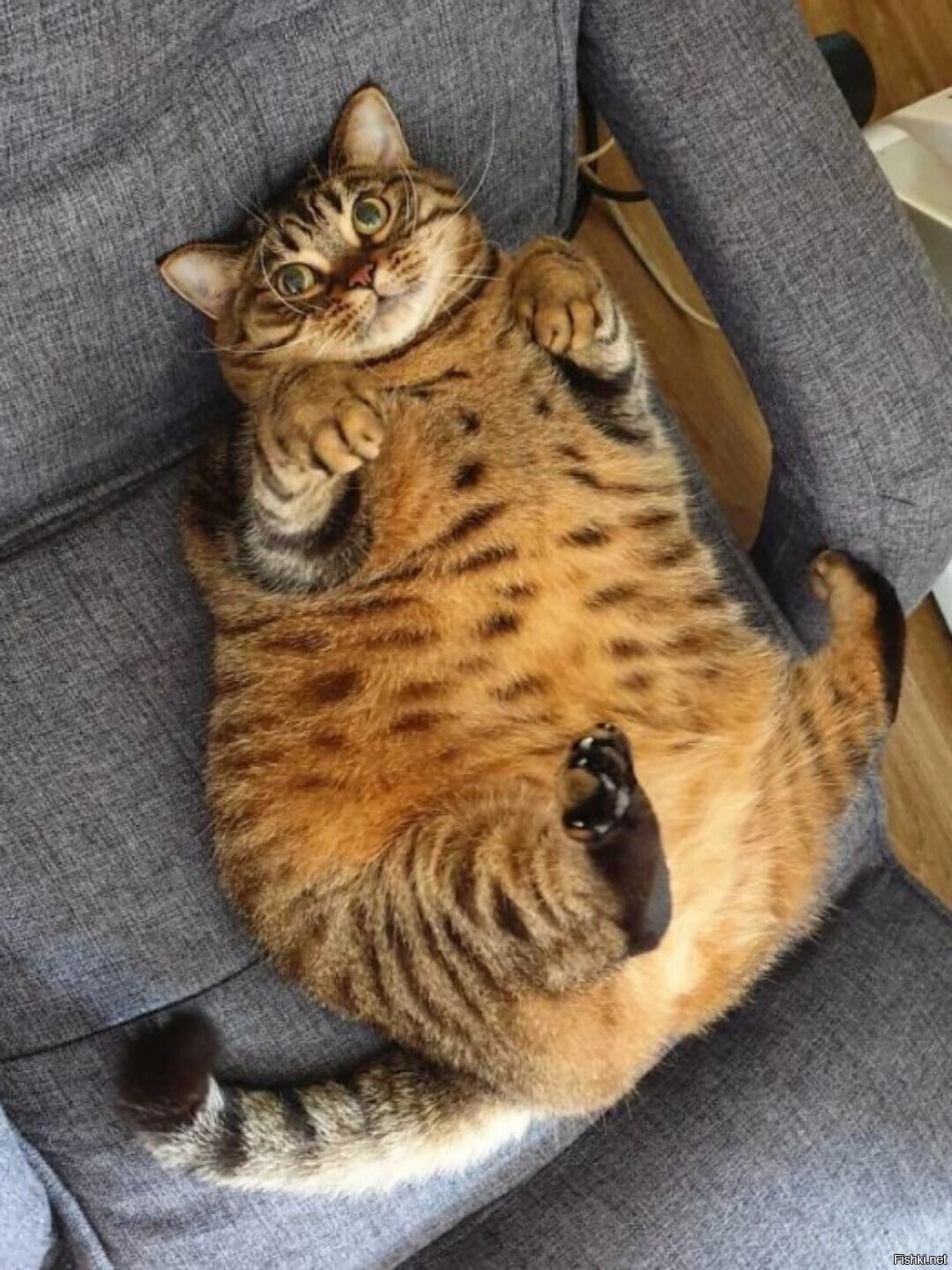 Солянка