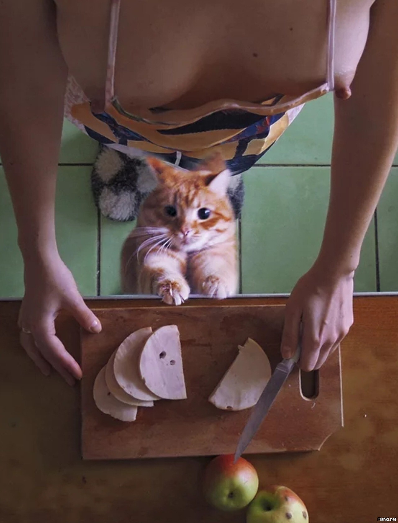 Солянка