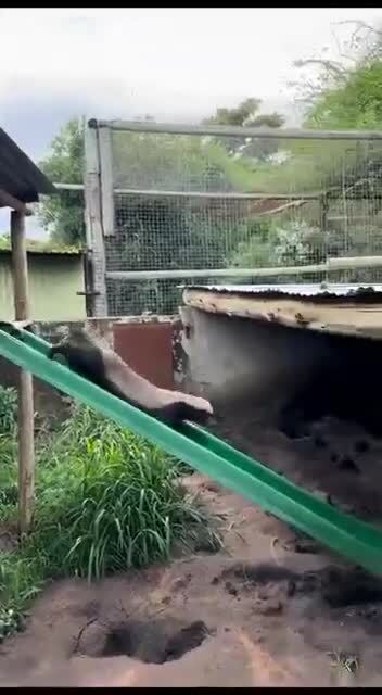 Солянка