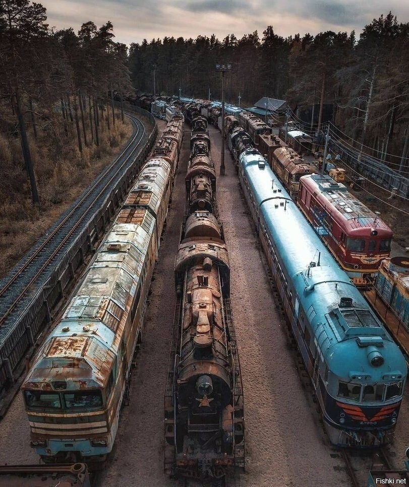 Солянка