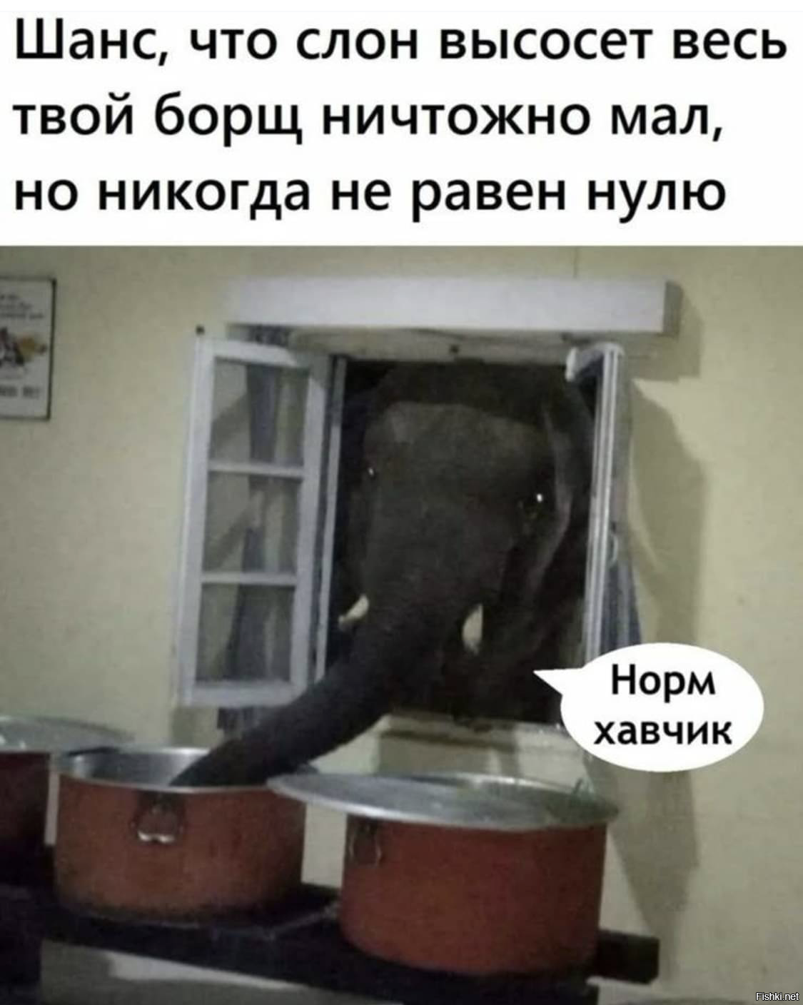 Солянка