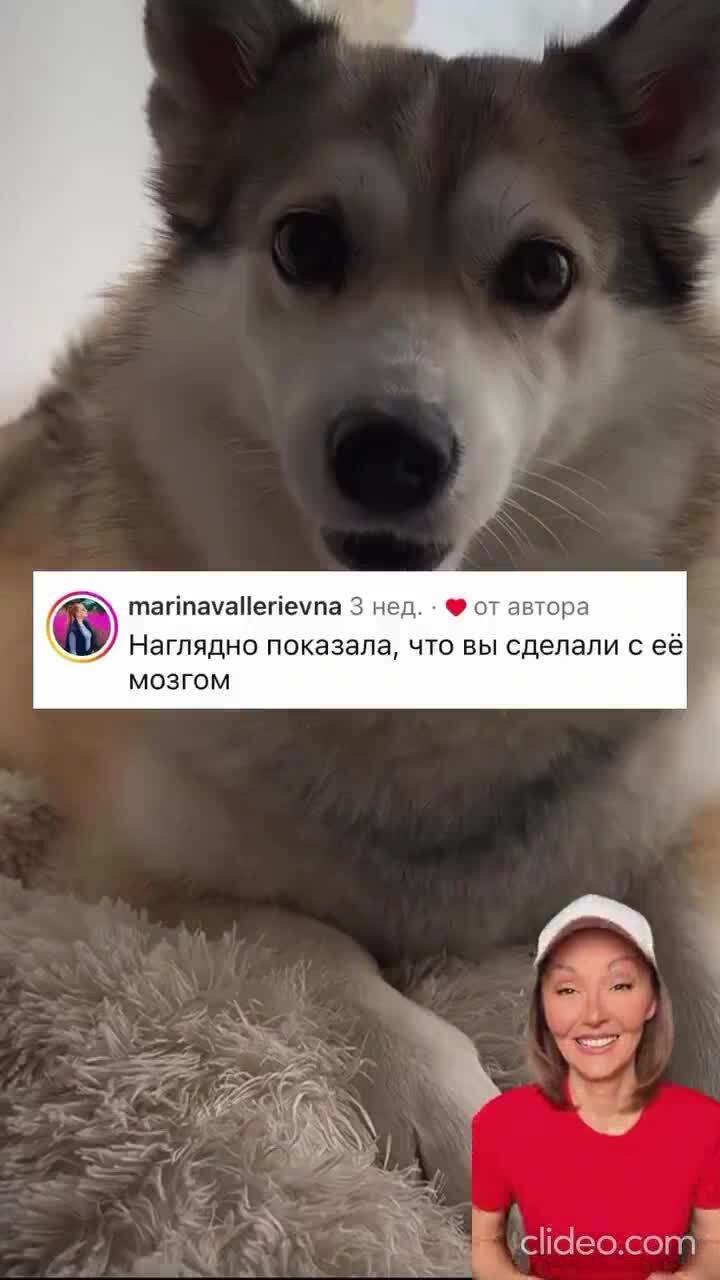 Достала