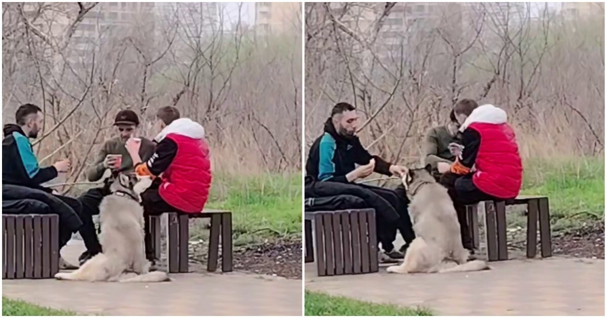 Локи нашёл себе мужскую компания