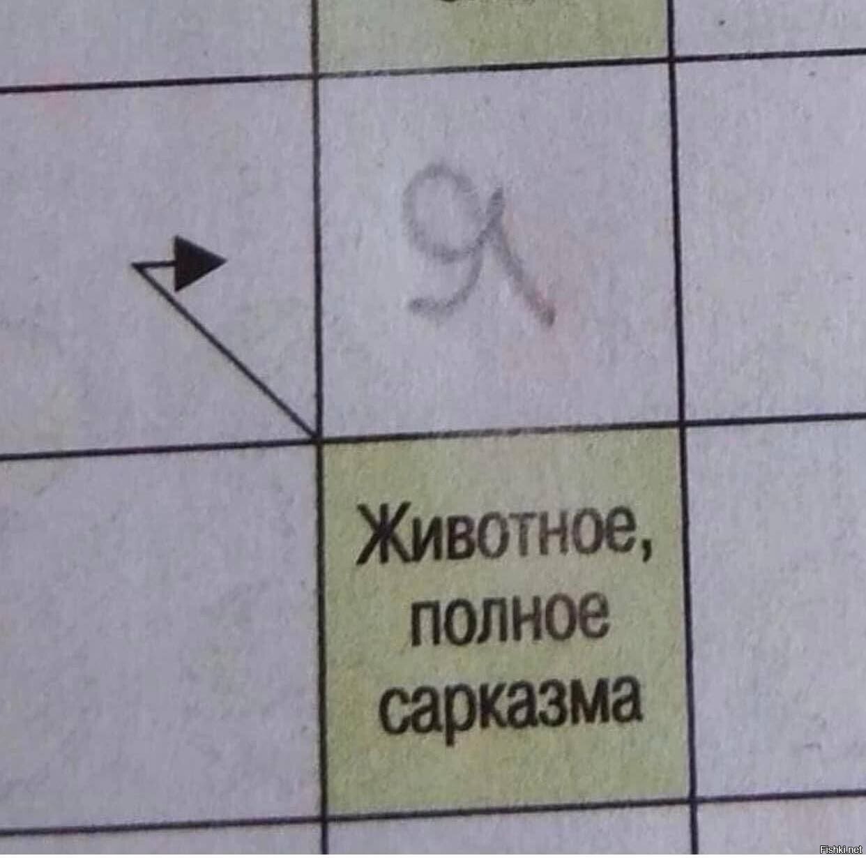 Солянка