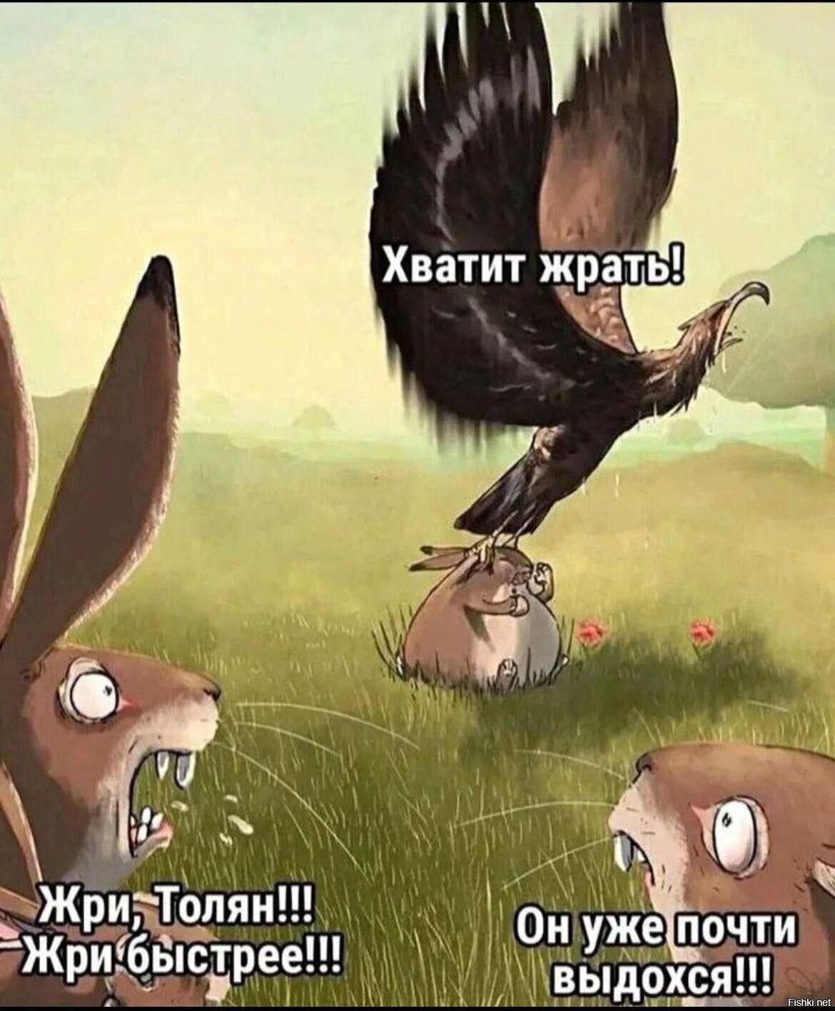 Солянка