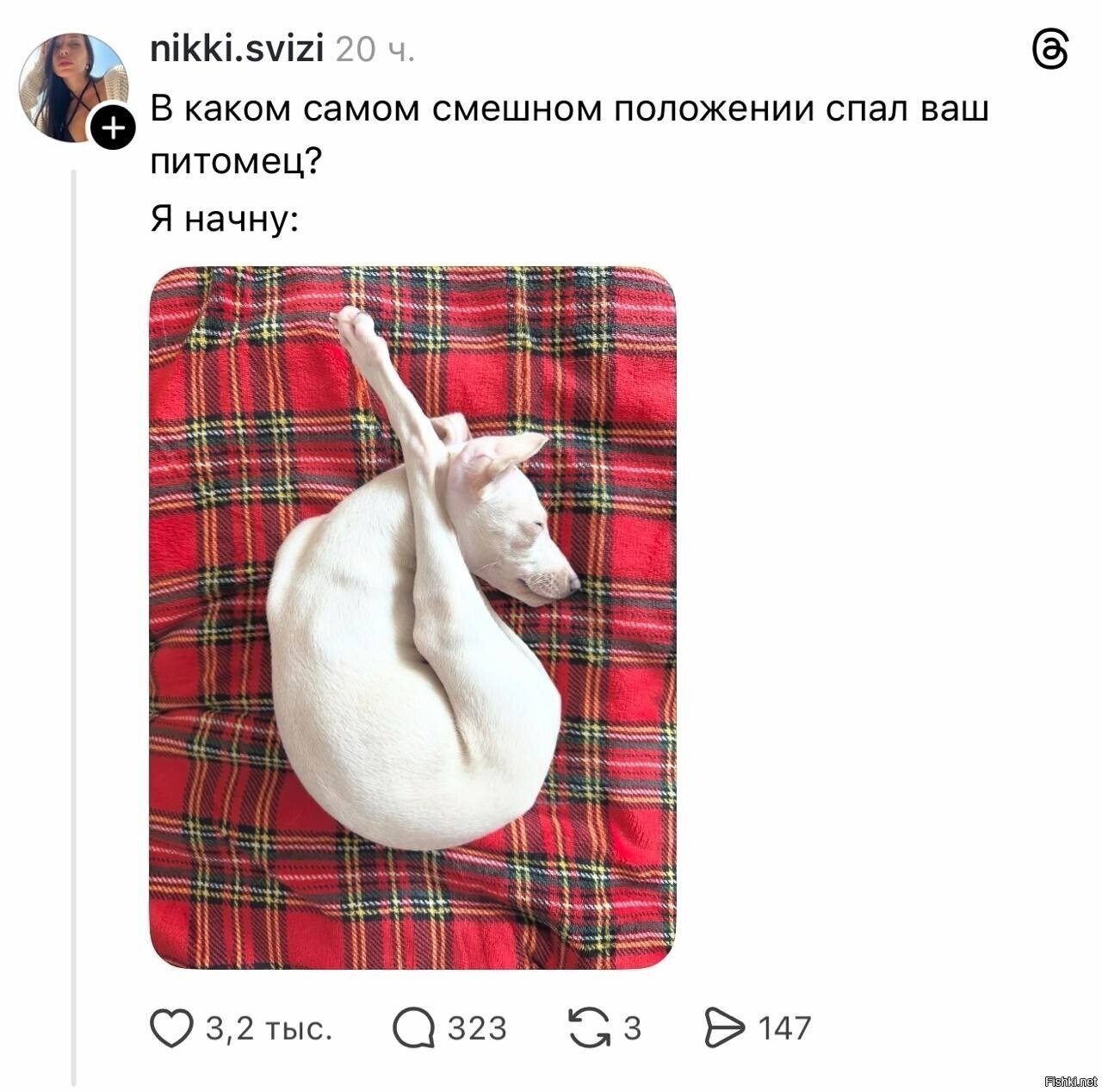 Солянка
