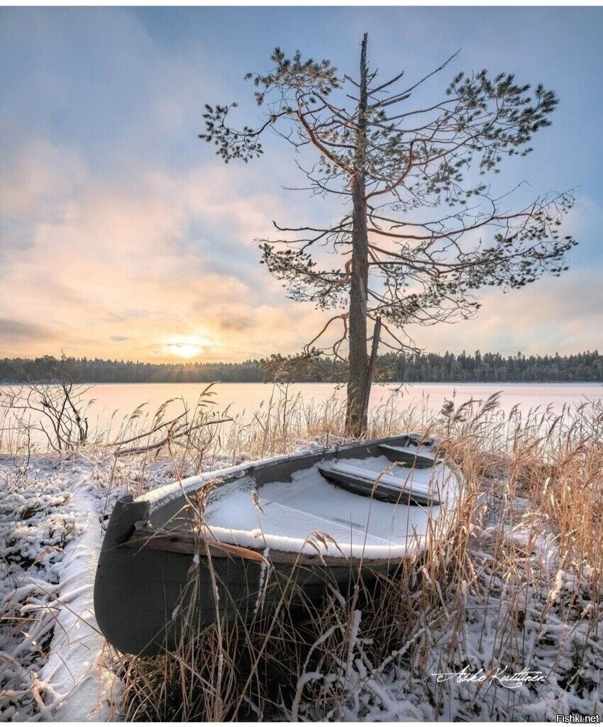 Солянка