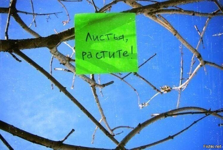 Весенний призыв